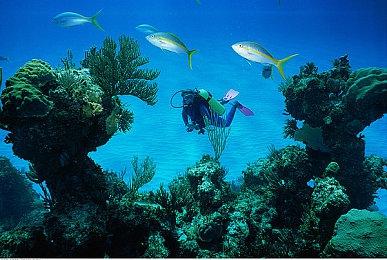 《尼克儿童频道全明星大乱斗》李奥纳多出招 今年秋季发售